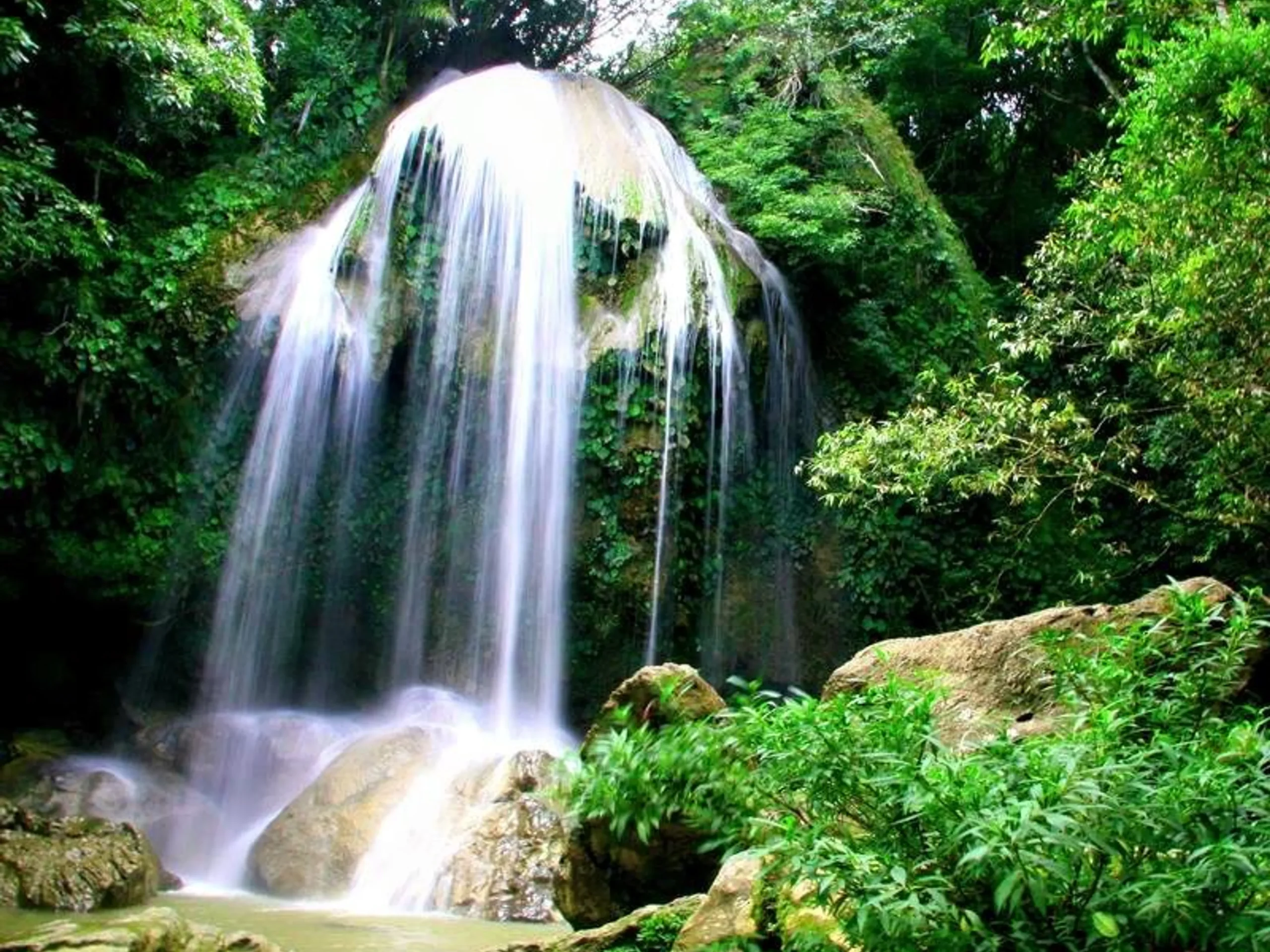 Visit to Las Terrazas Community